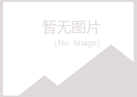 尖山区晓夏金属有限公司